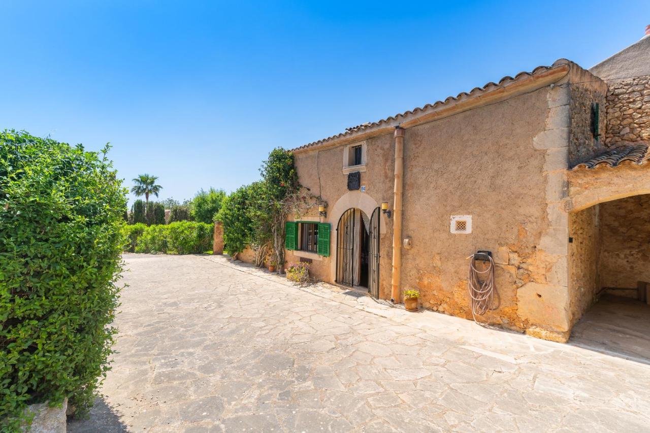 Palleta * Calonge (Mallorca)