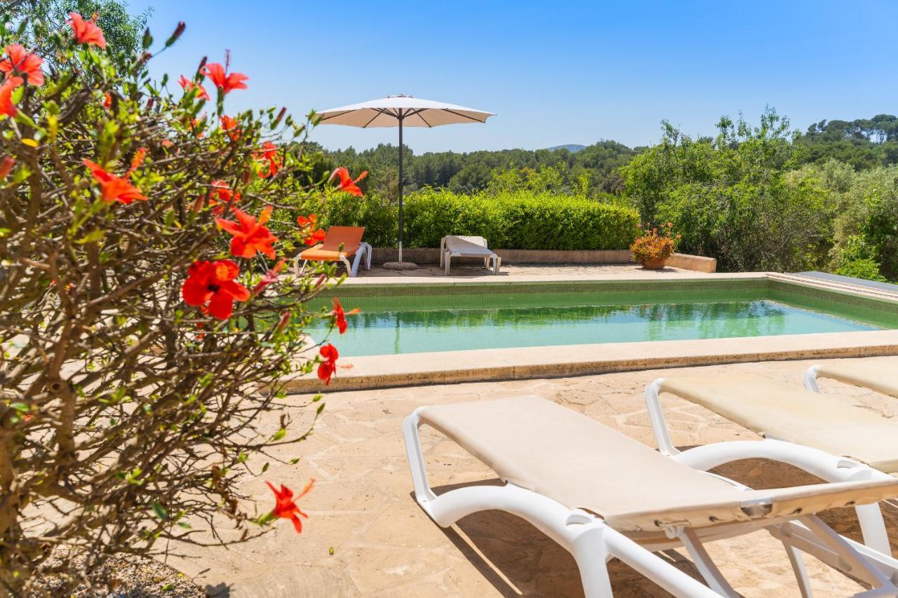 Ferienhaus Palleta Calonge (Mallorca)