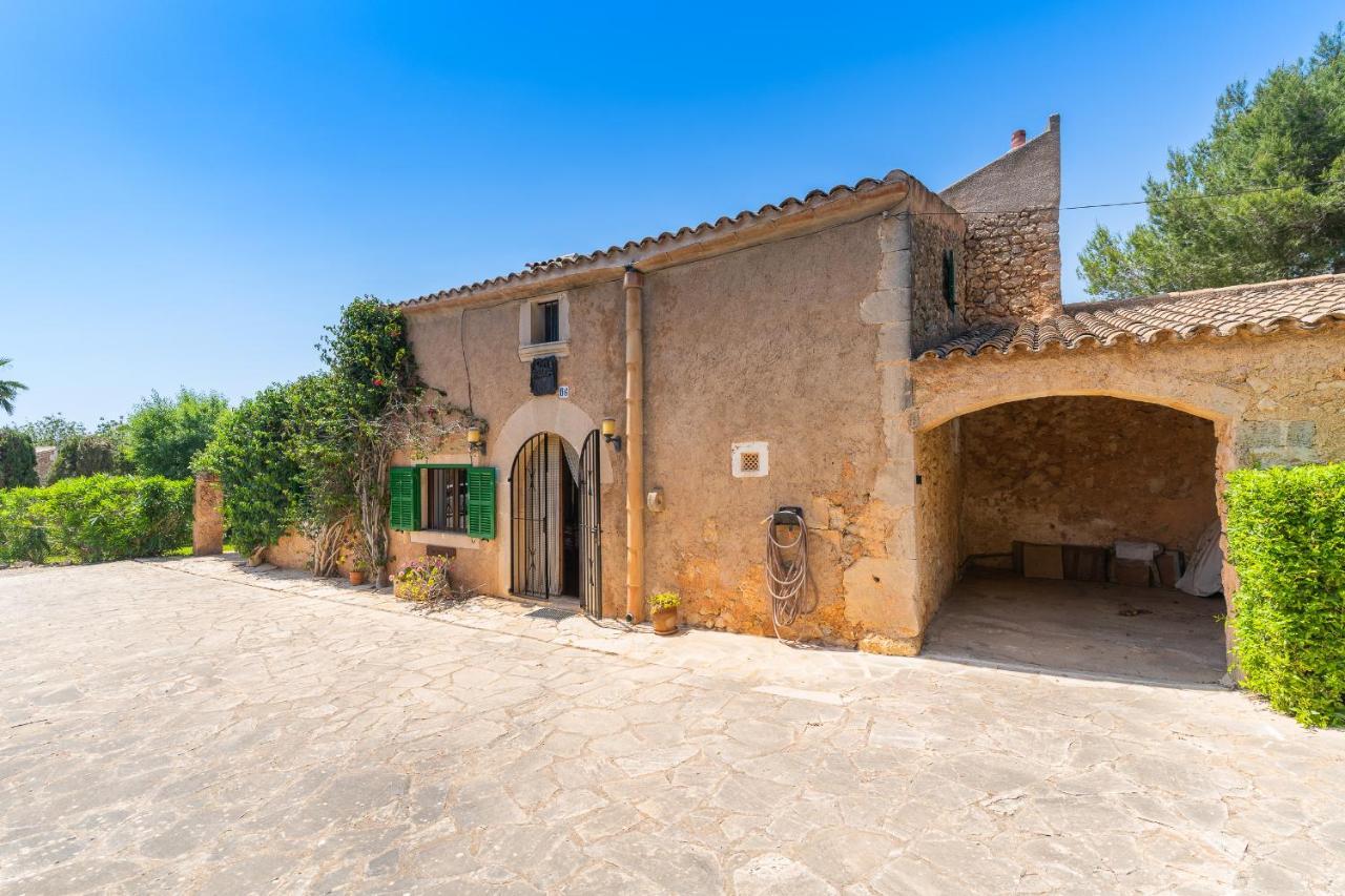 Palleta * Calonge (Mallorca)