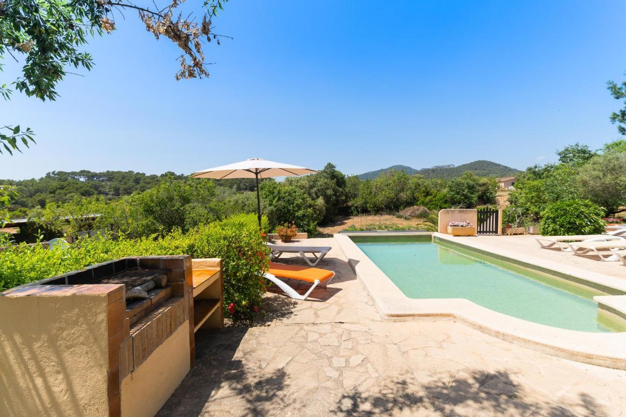 Palleta Calonge (Mallorca)